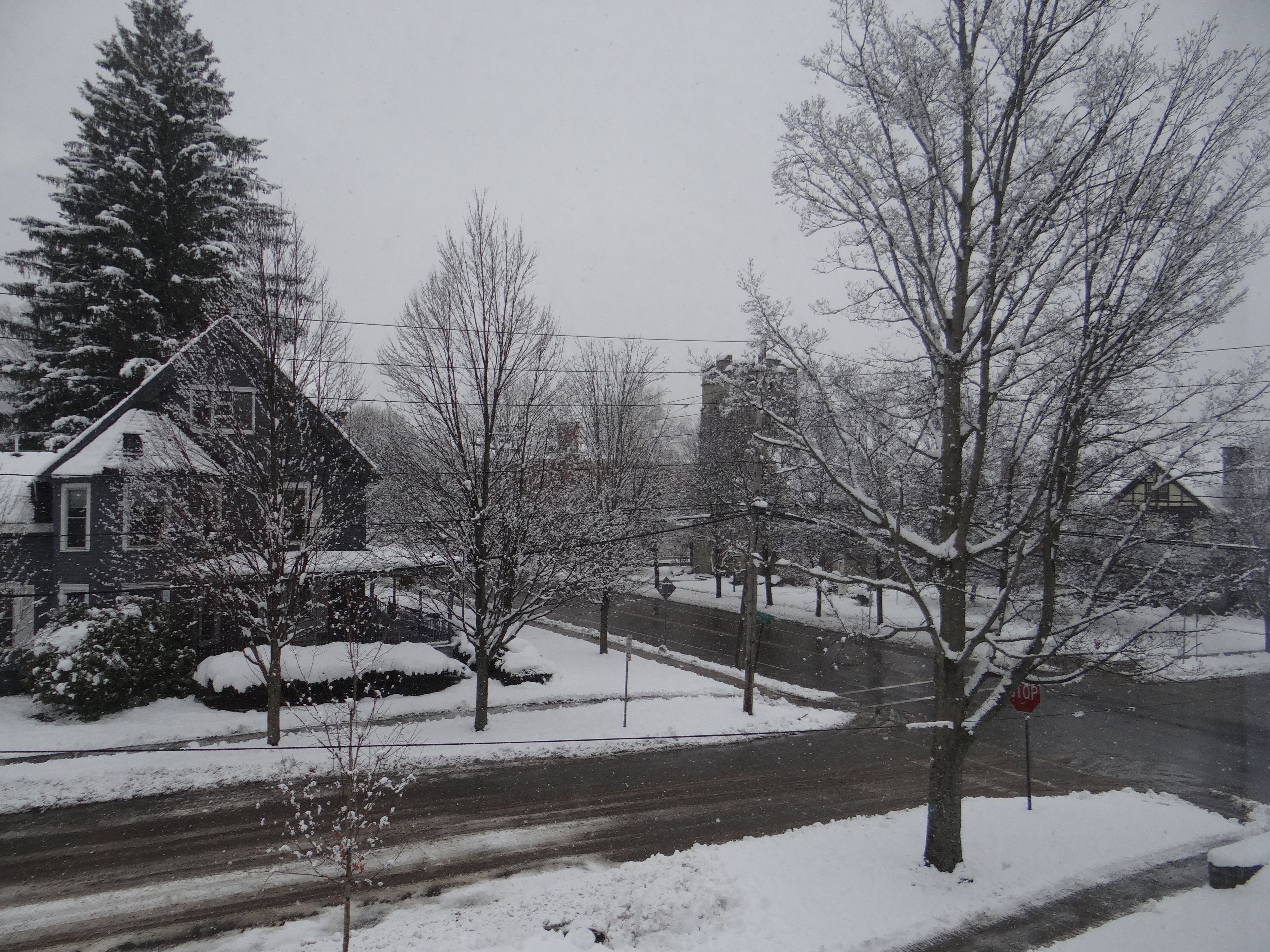 A residential street with houses and trees covered in snow.
