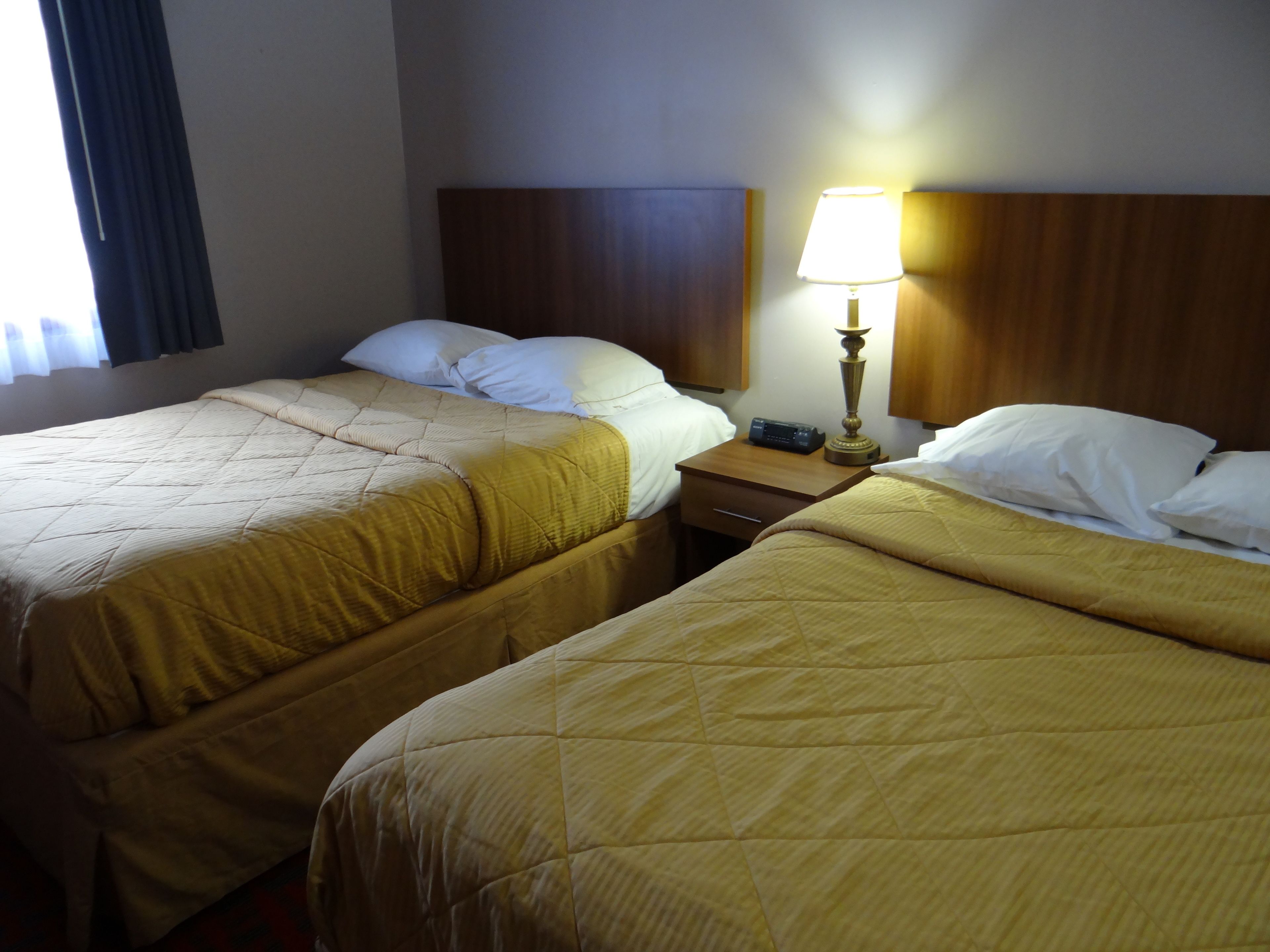 Dos camas individuales con ropa de cama amarilla, una mesita de noche con lámpara y un cabecero de madera.