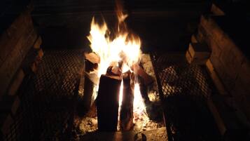 A fire burning in a metal grate with logs.