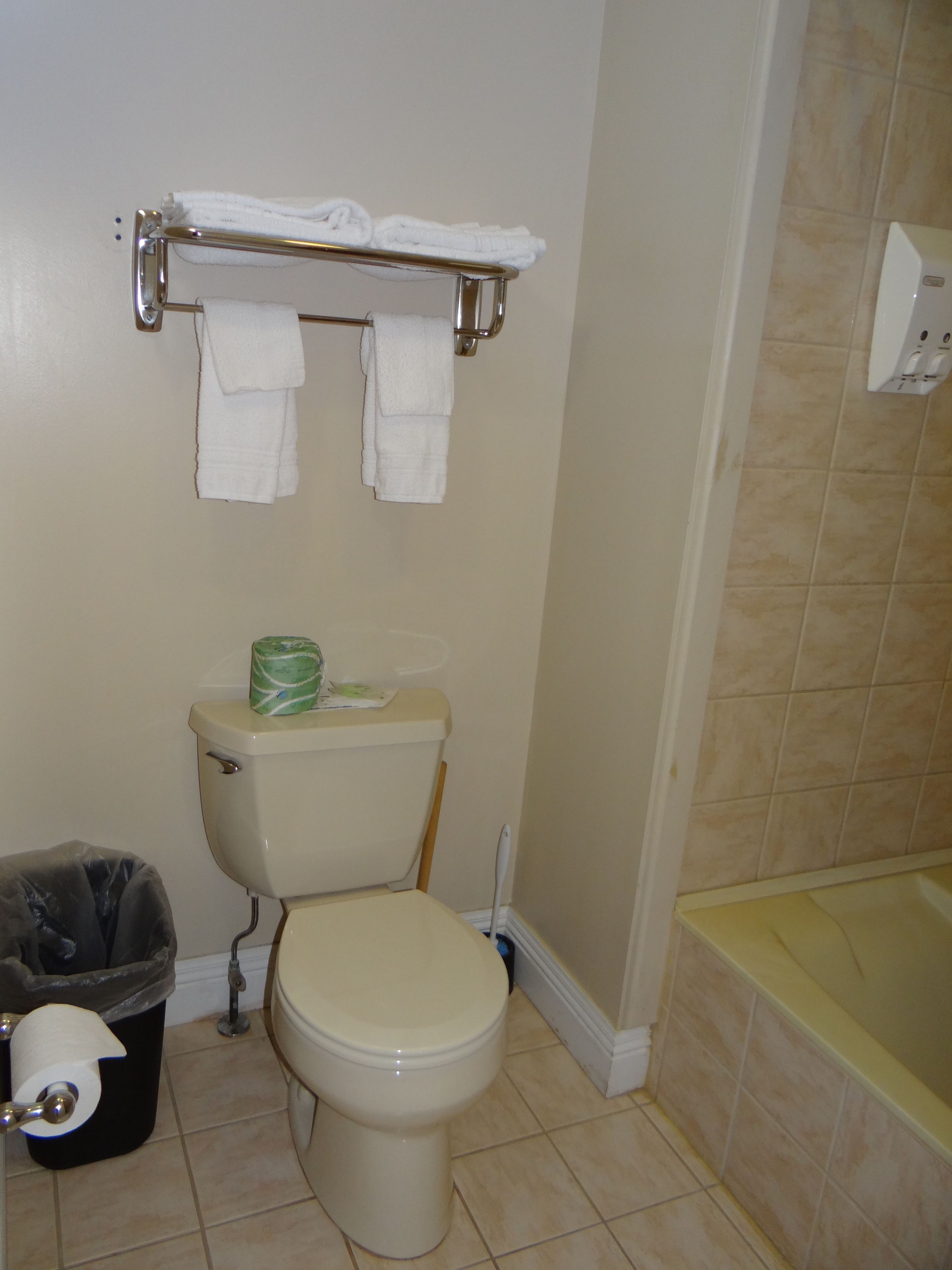 Une salle de bain comprenant des toilettes, une poubelle, un porte-serviettes avec des serviettes et une baignoire.