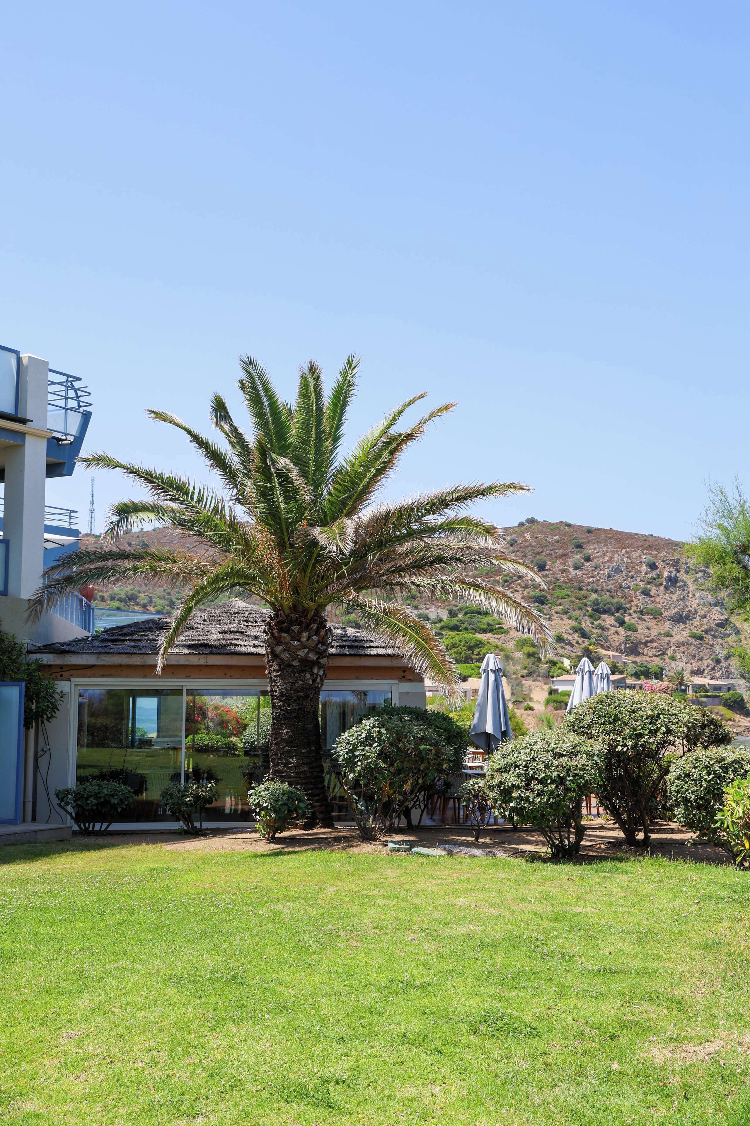 A building with a palm tree in the foreground, a mountain in the background, and a clear sky.