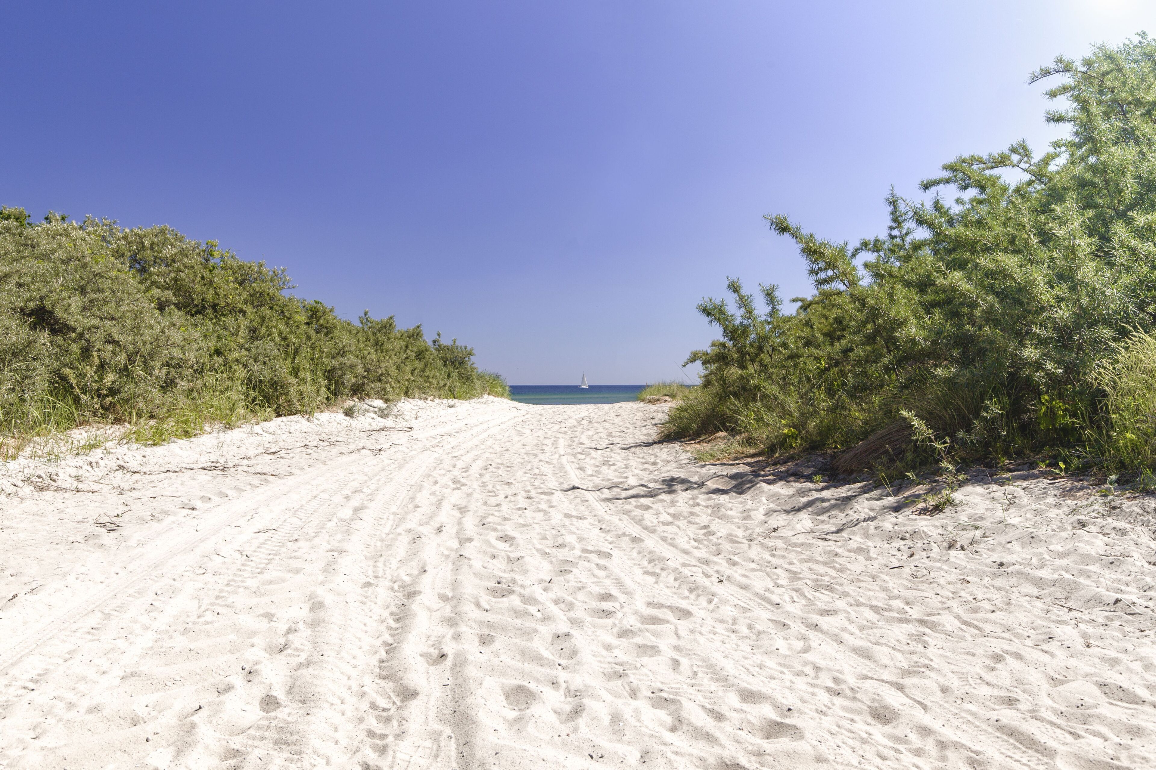 A sandy beach path leading to the ocean, surrounded by dense vegetation.