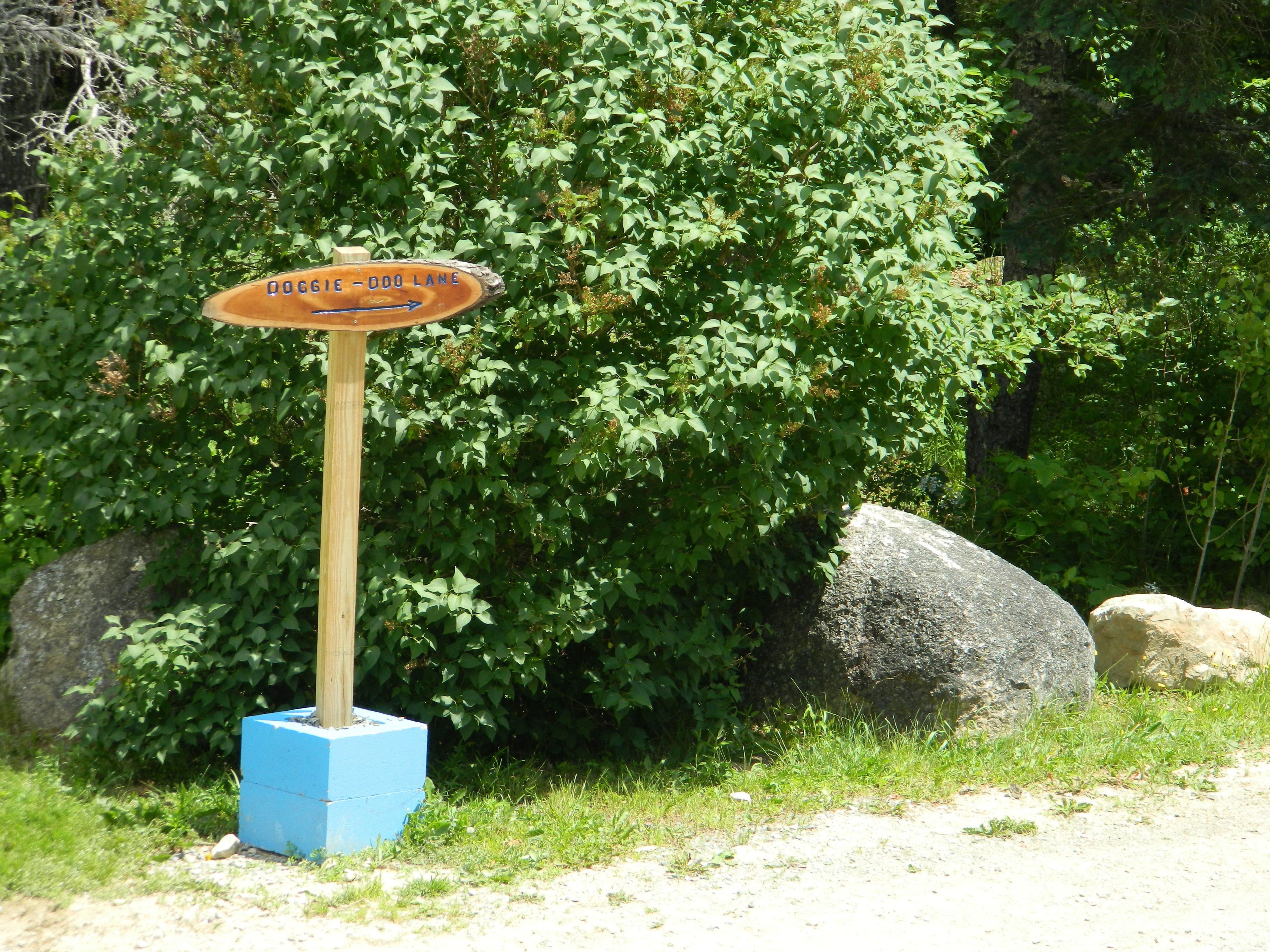 A wooden signpost with a directional arrow and text, standing on a blue base, surrounded by greenery and rocks.