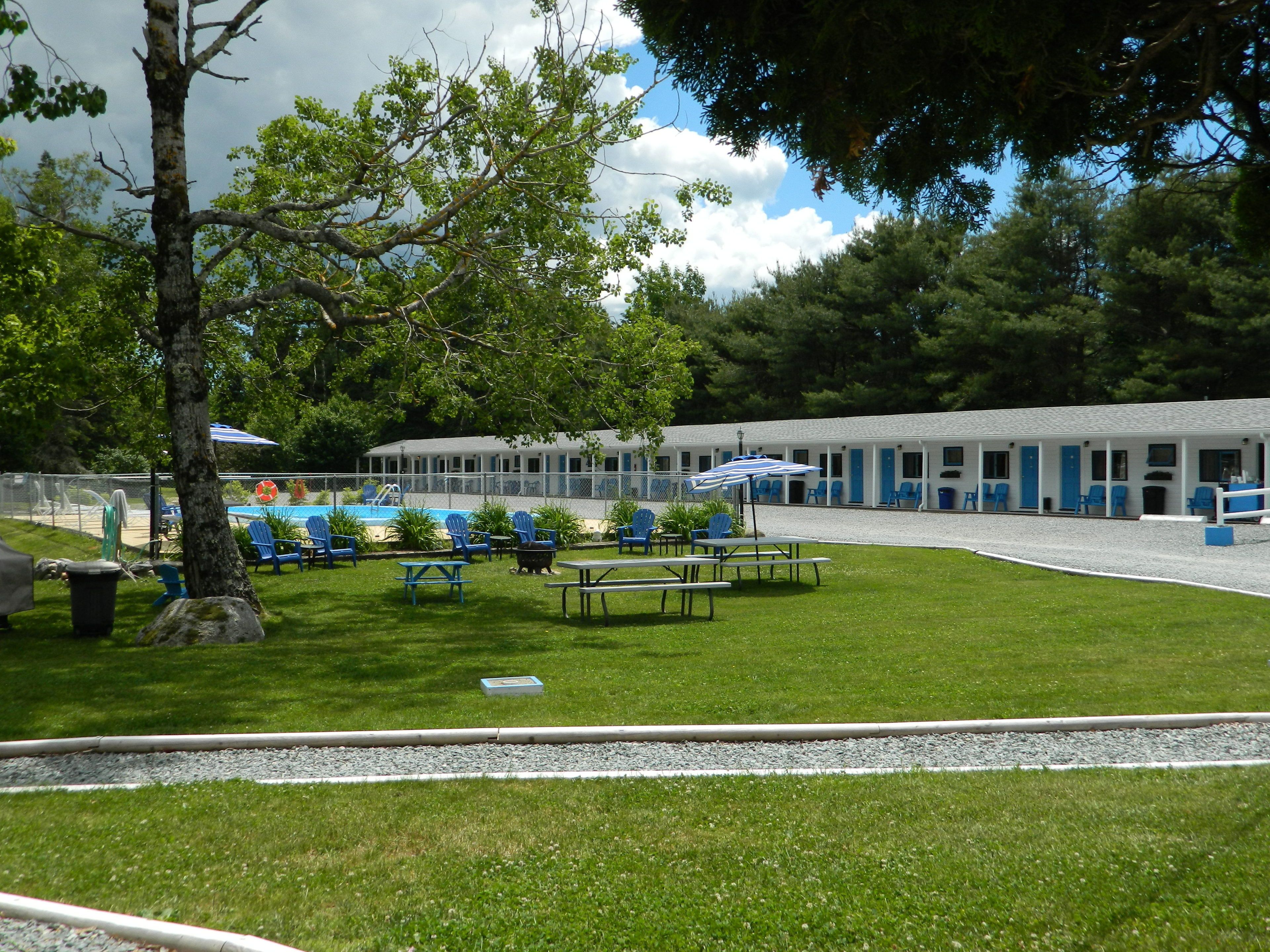 Un motel con piscina, asientos al aire libre y un gran árbol en primer plano.