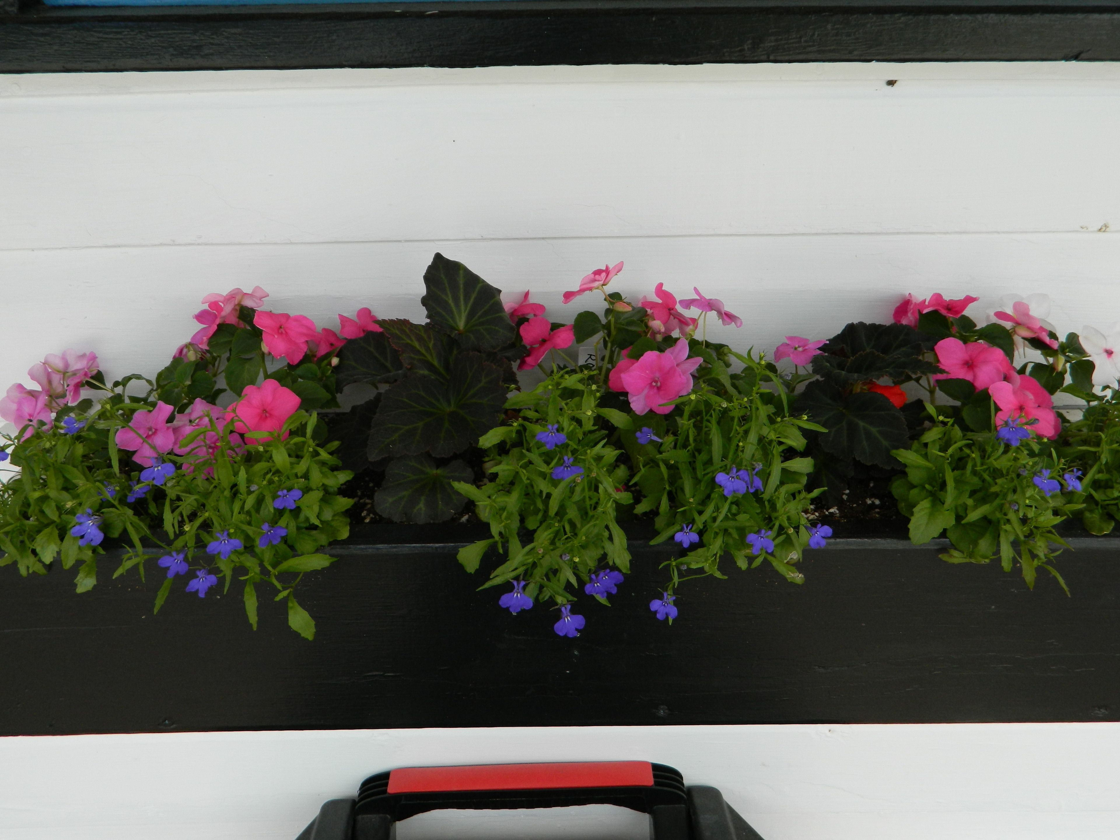 A black bench with a red handle, surrounded by potted plants with pink and blue flowers.