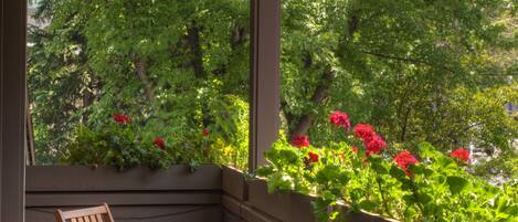 A balcony with wooden chairs, a small table, and a view of greenery and flowers through the window.