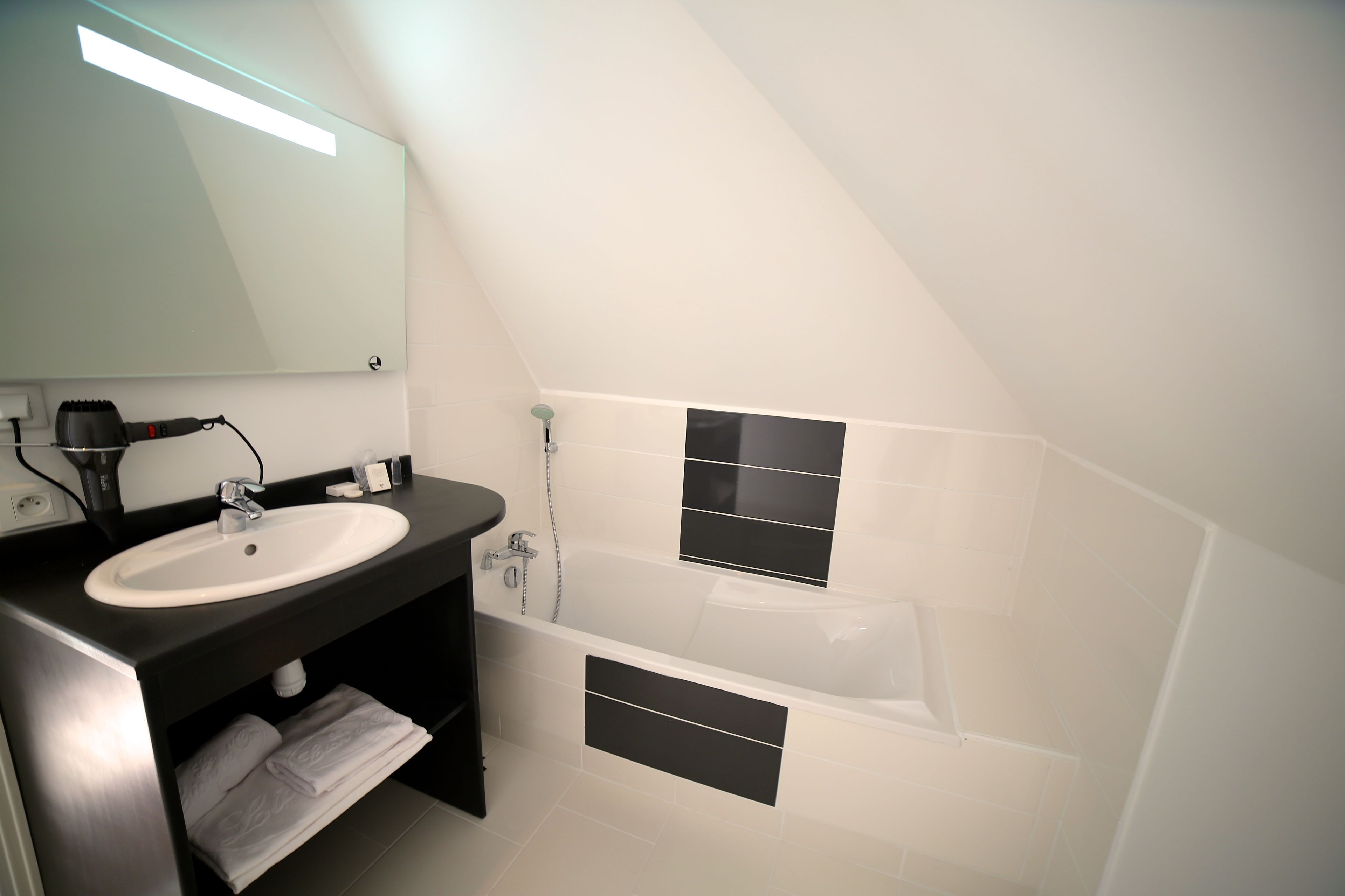 combined shower/bathtub, free toiletries, hair dryer, towels