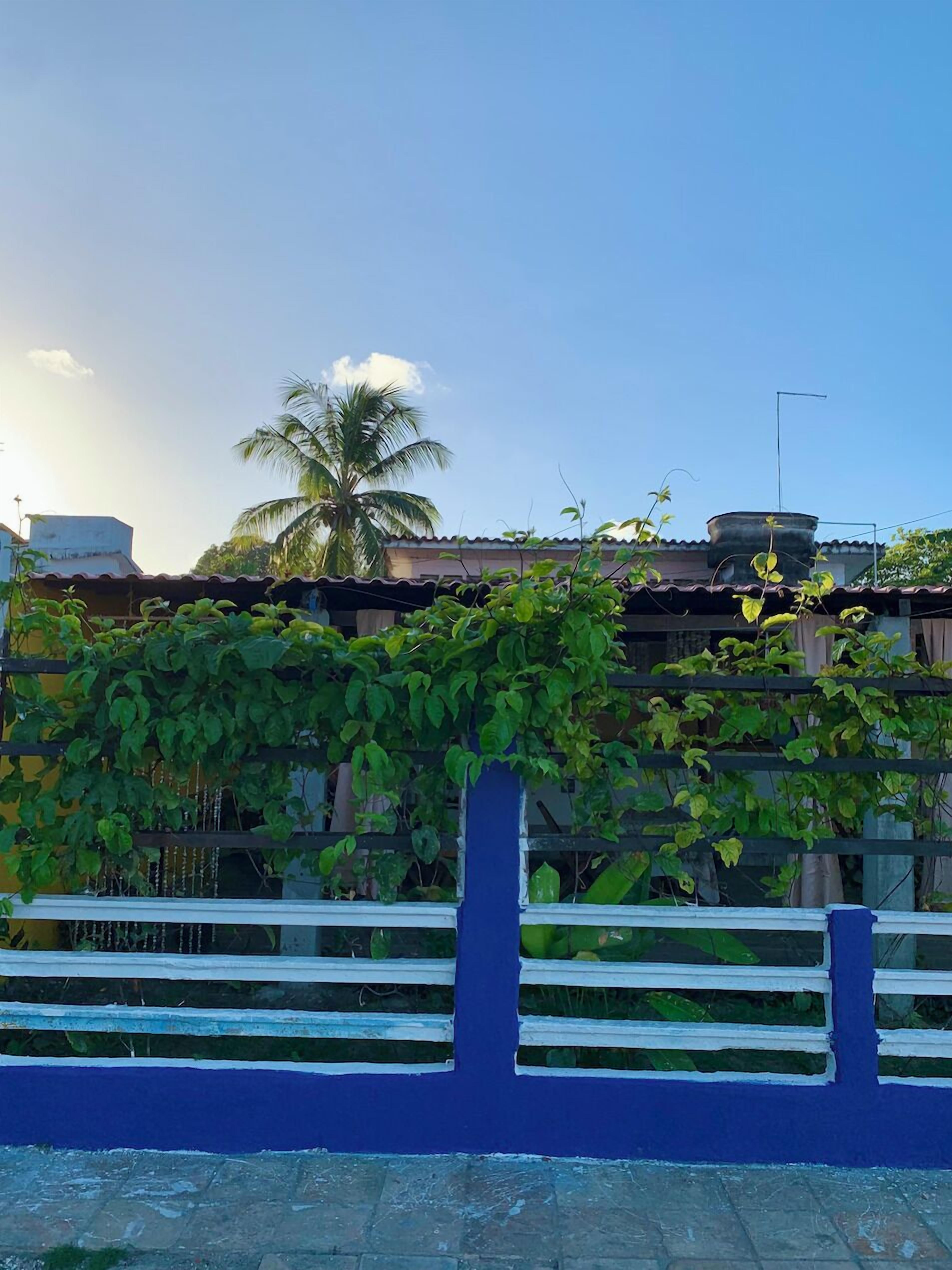 Photo - Beach Life Porto de Galinhas