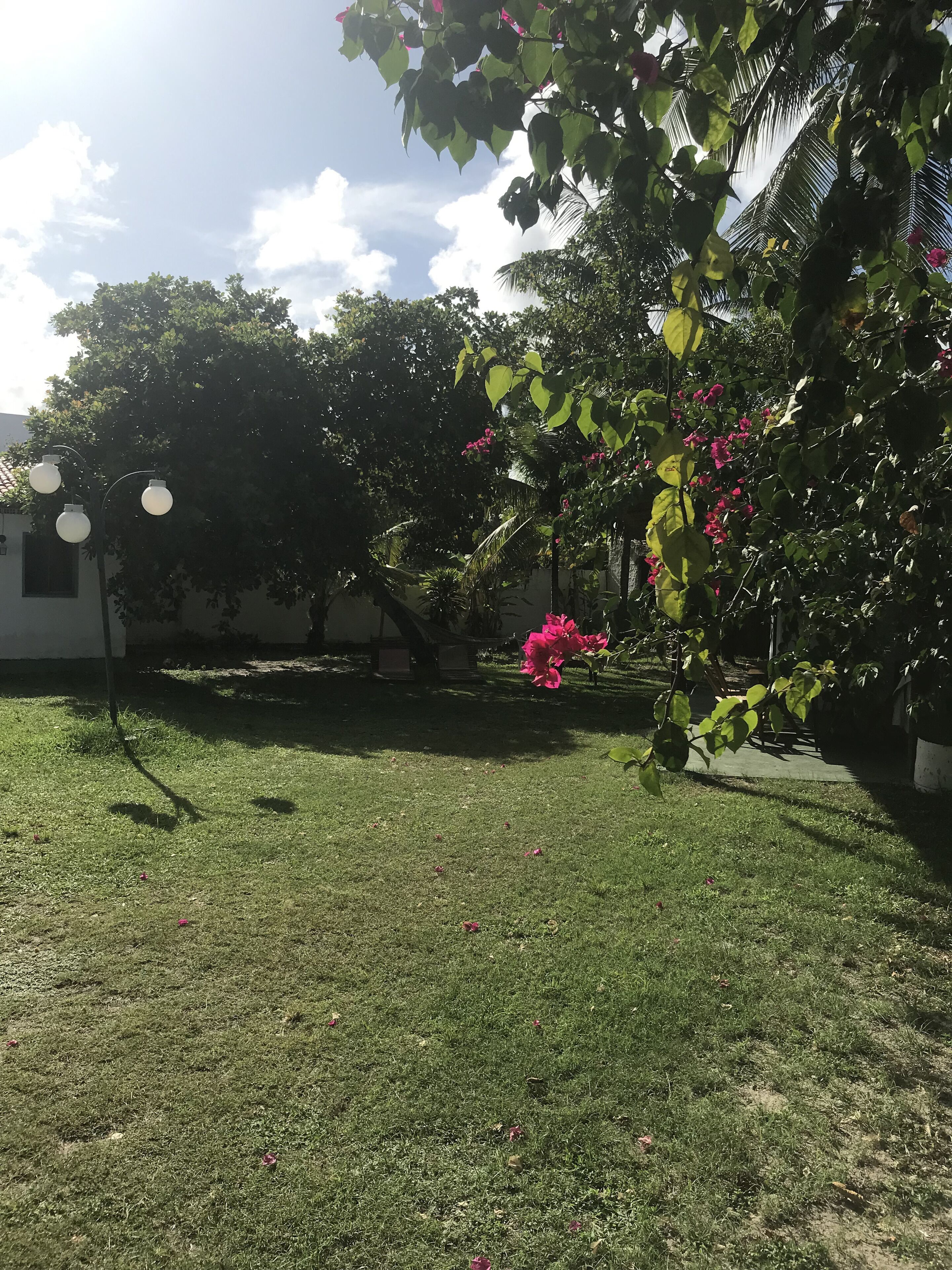 Foto - Beach Life Porto de Galinhas
