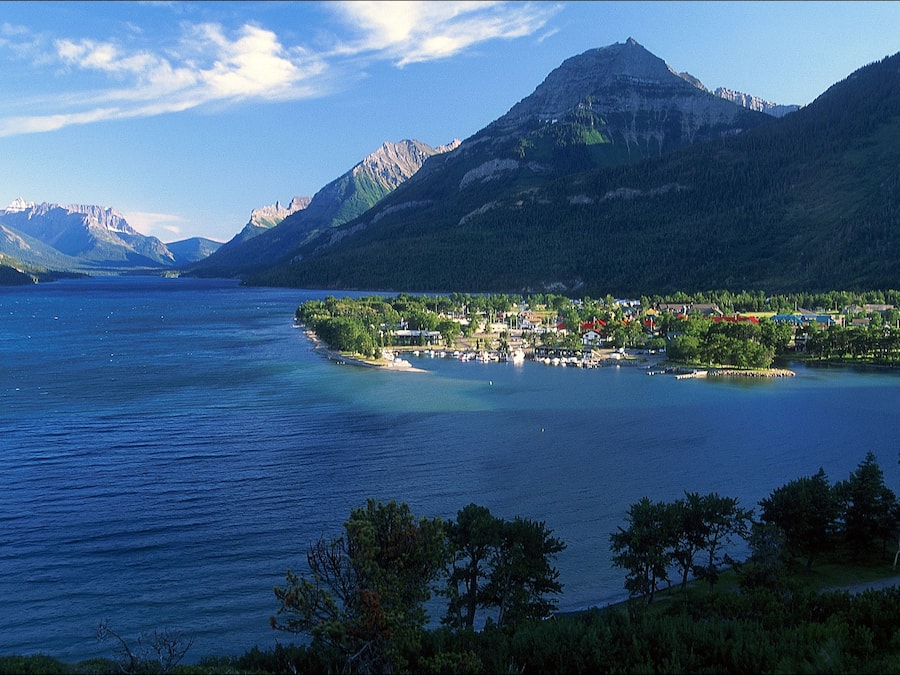 Vista desde la propiedad