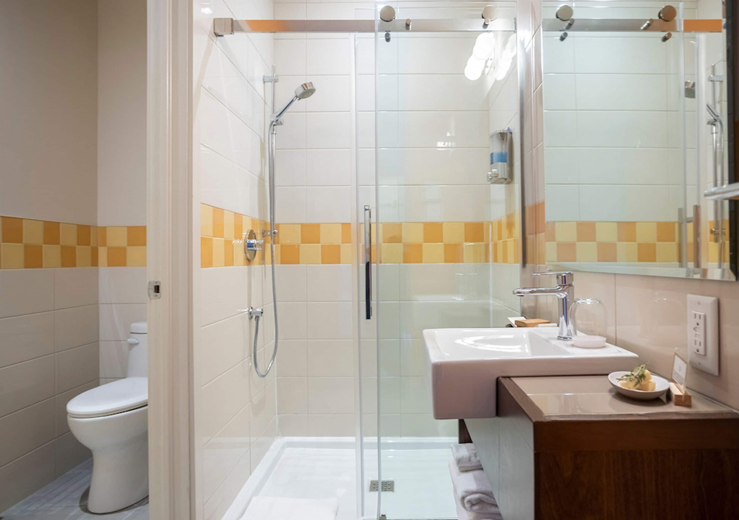 deluxe room | bathroom | shower, free toiletries, hair dryer, towels