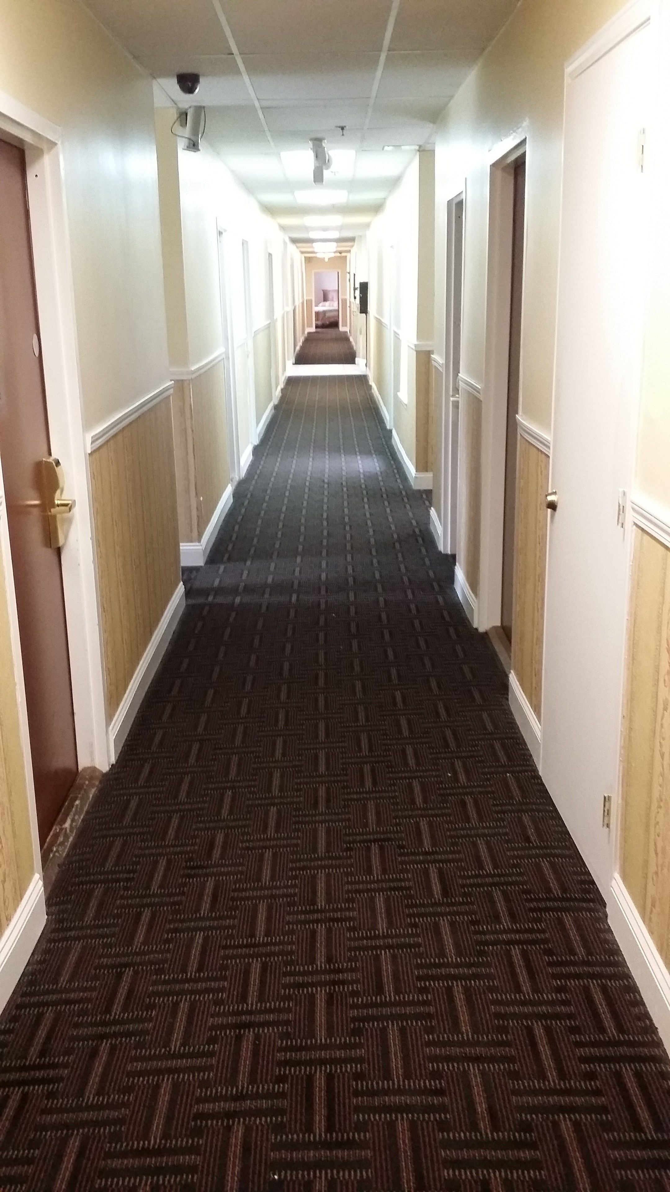 Foto - Europa Hotel