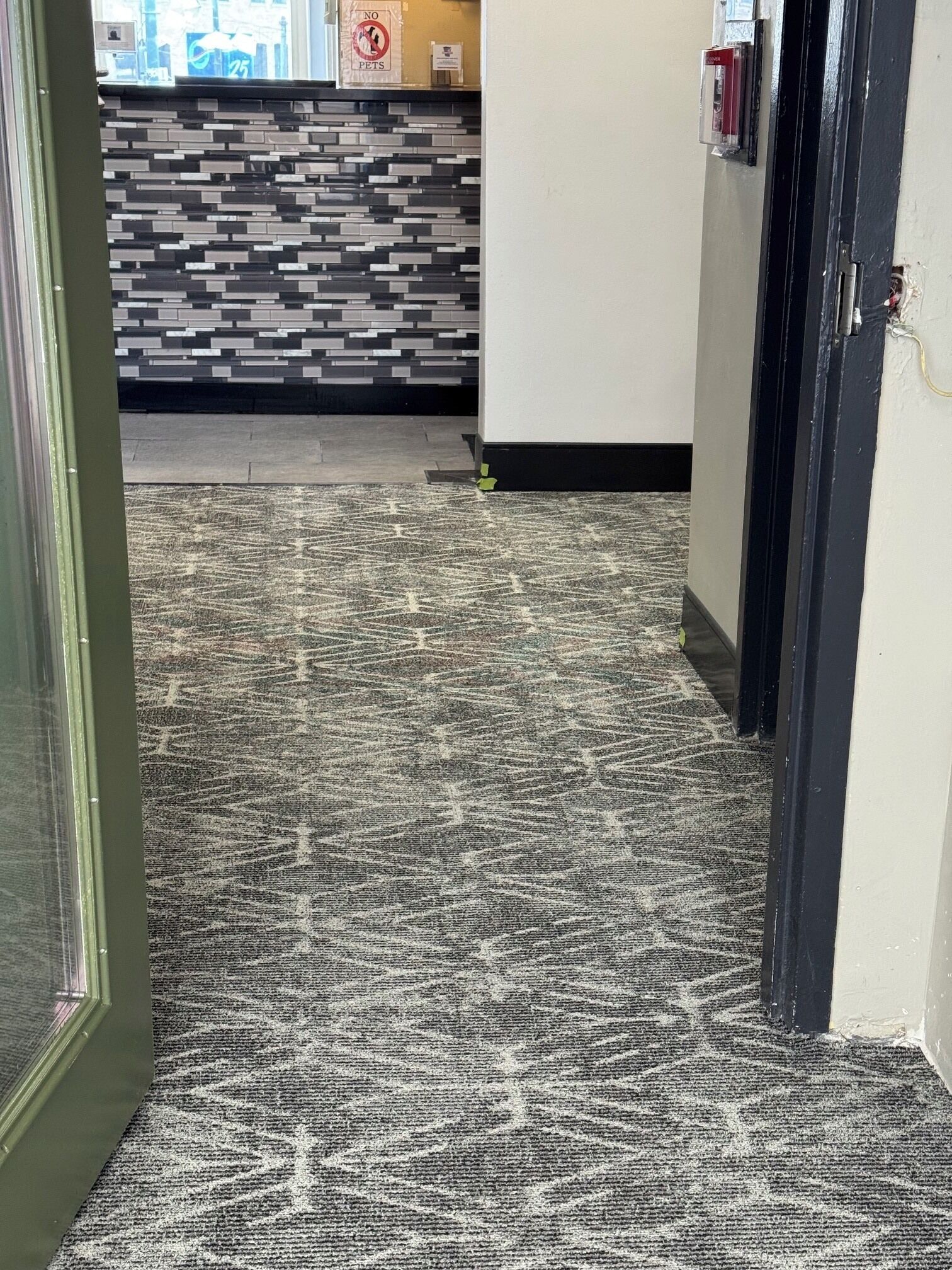 Un couloir recouvert de moquette, avec un mur orné de motifs et une porte sur le côté droit.