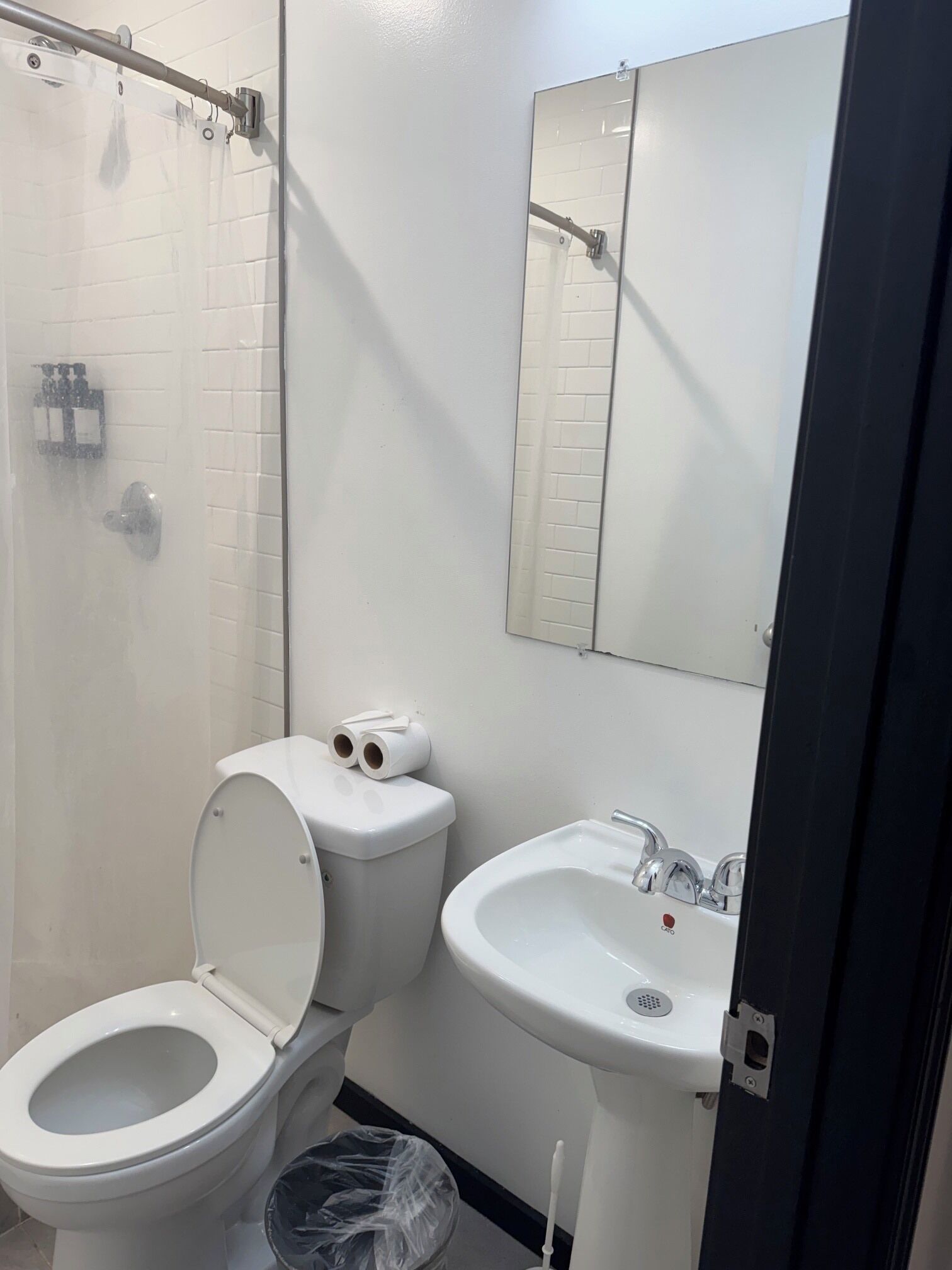 A bathroom with a toilet, a sink, a shower, and a mirror.