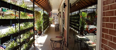 Pemandangan dari properti