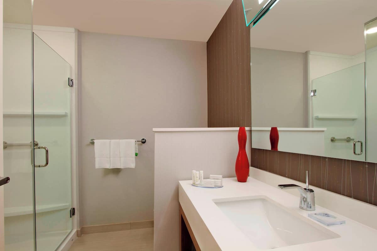 combined shower/bathtub, hair dryer, towels