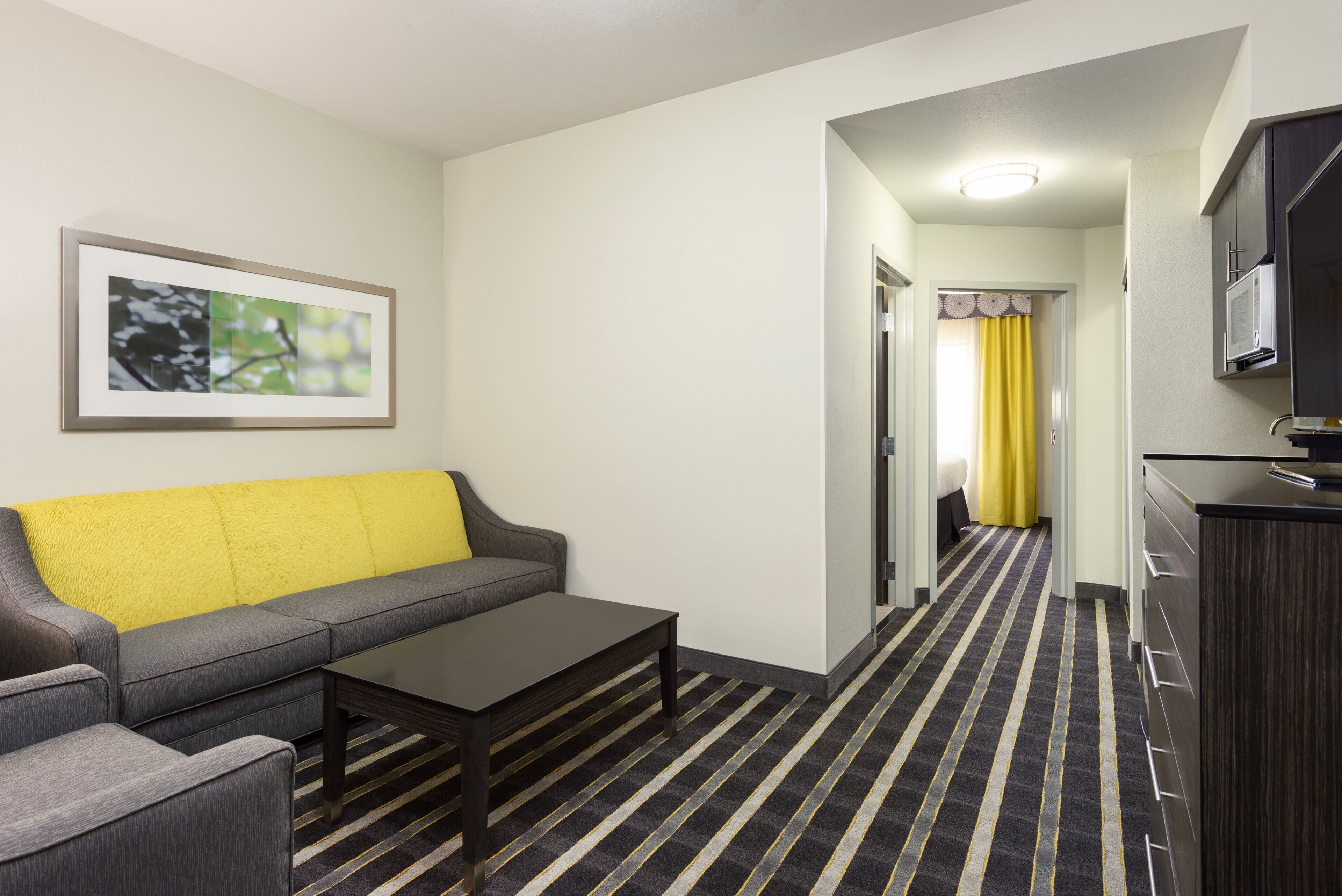 Une chambre d’hôtel avec un canapé, une table basse, un téléviseur à écran plat, un tableau encadré et une moquette à rayures.