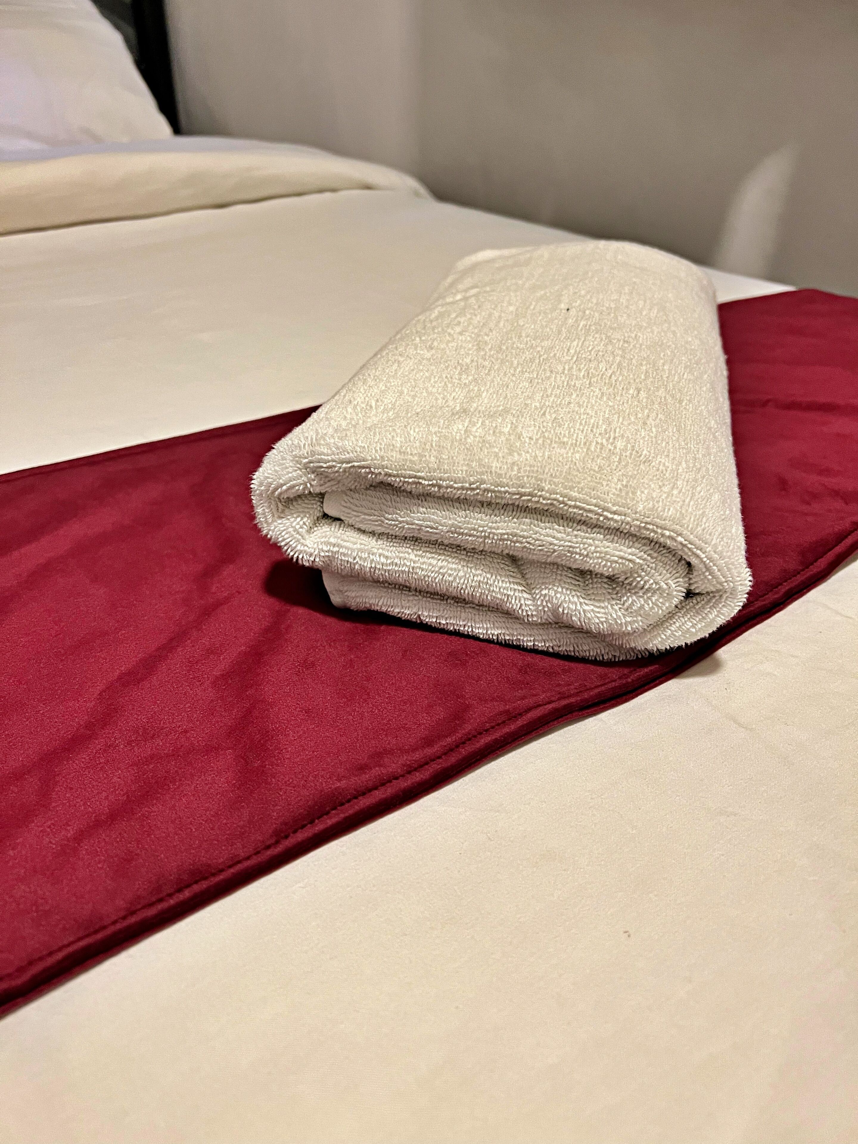 economy single room, 1 single bed | in-room safe, desk, laptop workspace, iron/ironing board