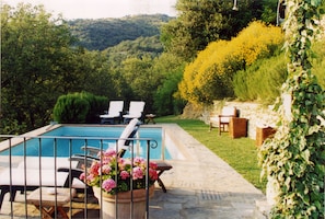 Seasonal outdoor pool, pool loungers