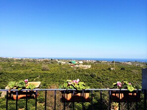 Apartment, Private Pool | View from room