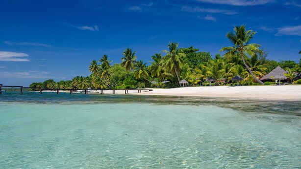 Una playa con agua turquesa cristalina, palmeras y cabañas de techo de paja.