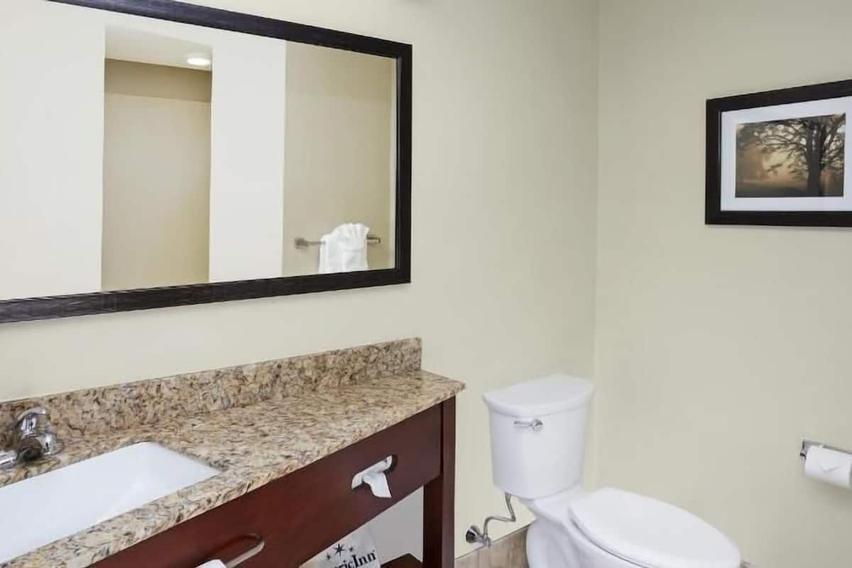 A bathroom with a marble sink, a toilet, a mirror, and a framed picture on the wall.
