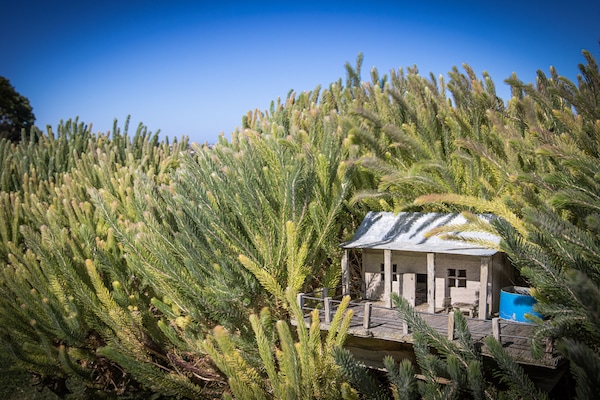 Jardín