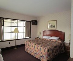 Un cuarto de hotel con una cama grande, una ventana con cortinas, un televisor montado en la pared y un cuadro enmarcado.