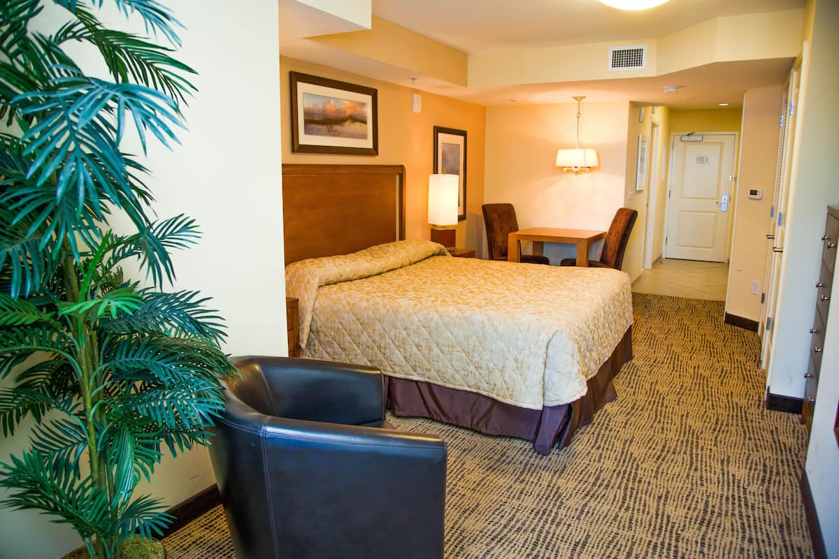 Standard Studio | Room amenity