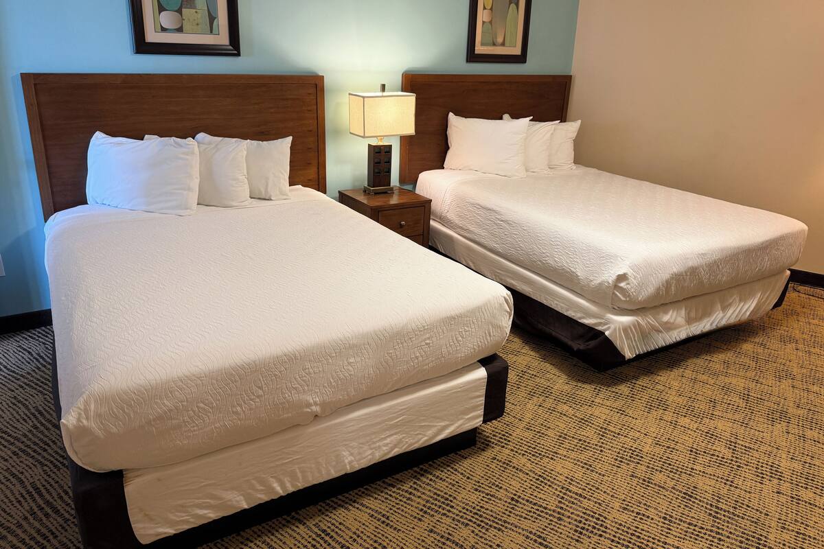 Standardlejlighed - 2 soveværelser | Strygejern/strygebræt, gratis baby-/barnesenge, sengetøj