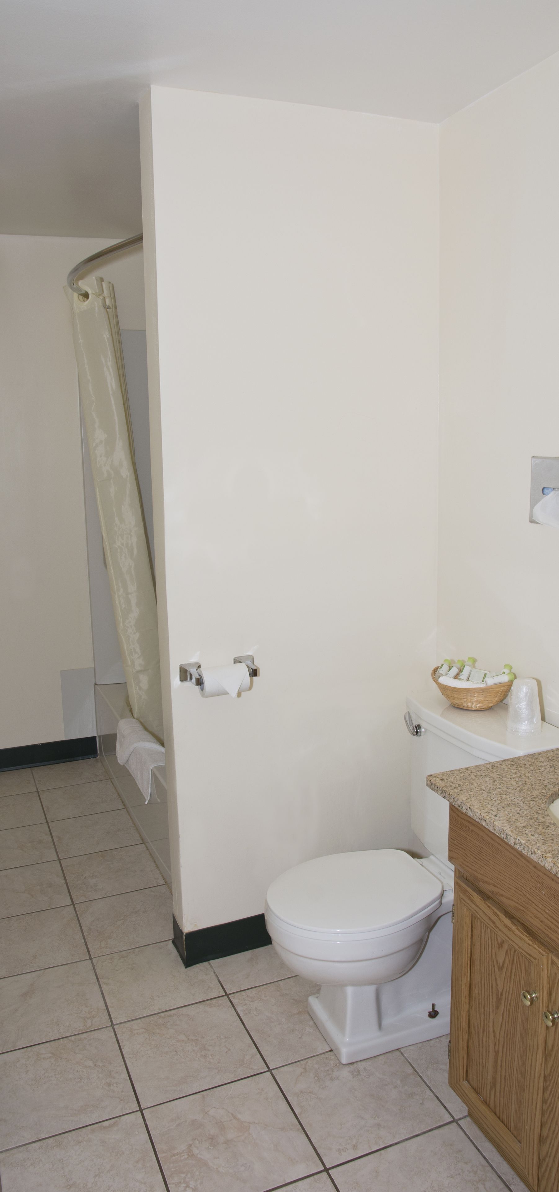 A bathroom with a toilet, a sink with a wooden cabinet, and a shower curtain.