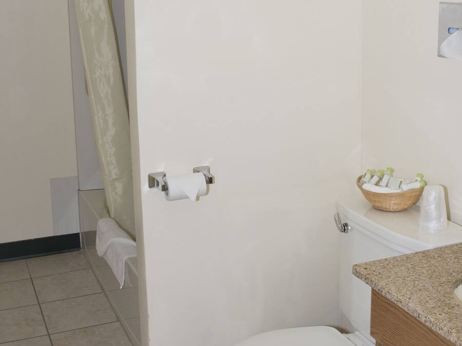 A bathroom with a toilet, a sink with a wooden cabinet, and a shower curtain.