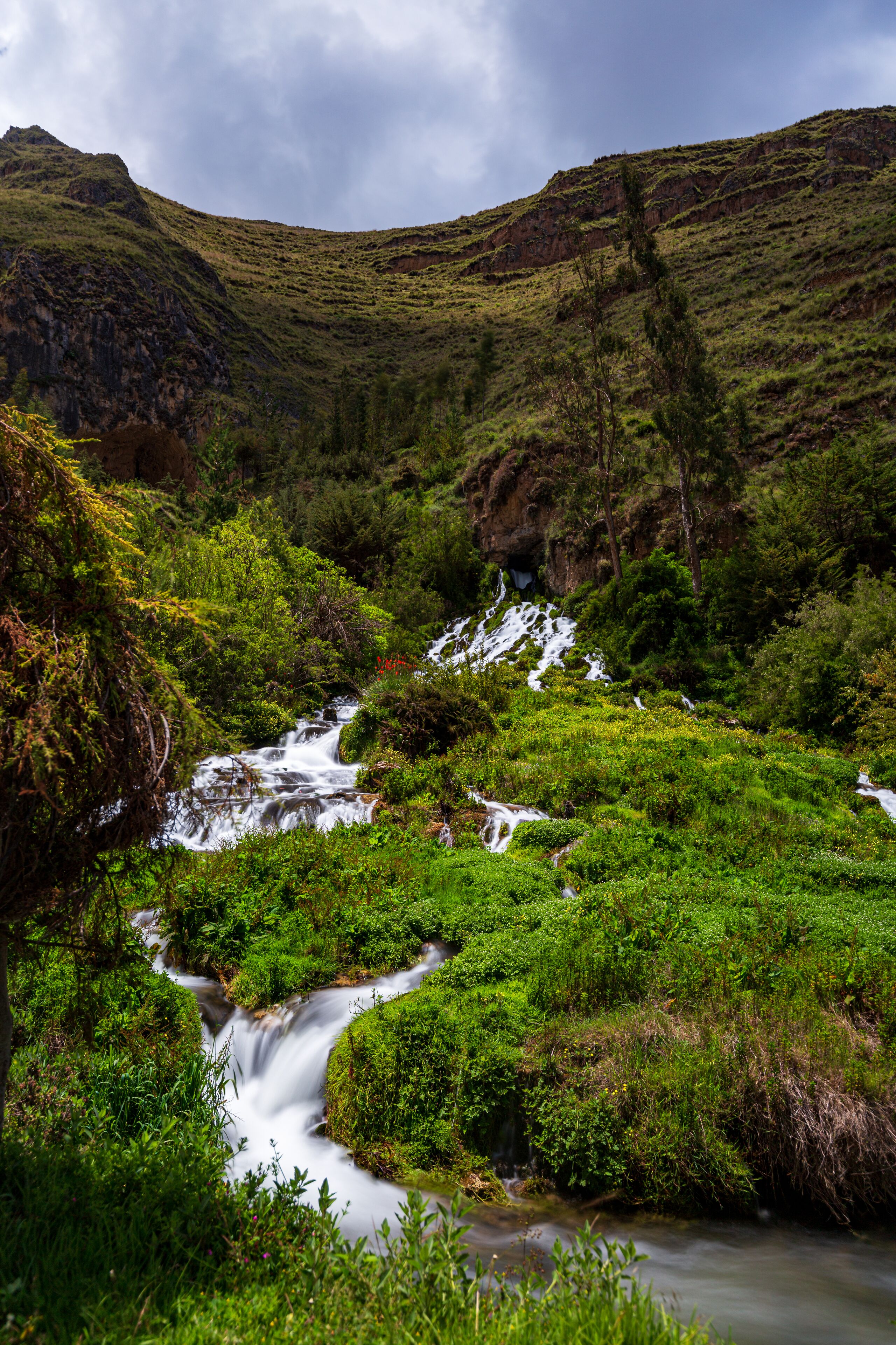 Un valle verde exuberante con un arroyo serpenteante y montañas al fondo.