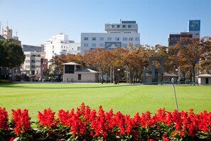 Een park met een groen veld, rode bloemen en gebouwen op de achtergrond.