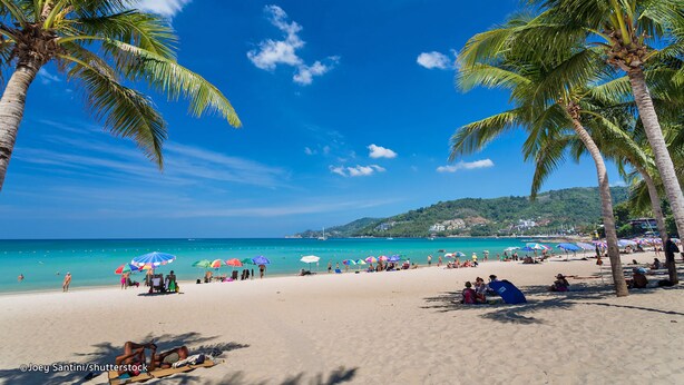 Una playa con palmeras, sombrillas y gente.