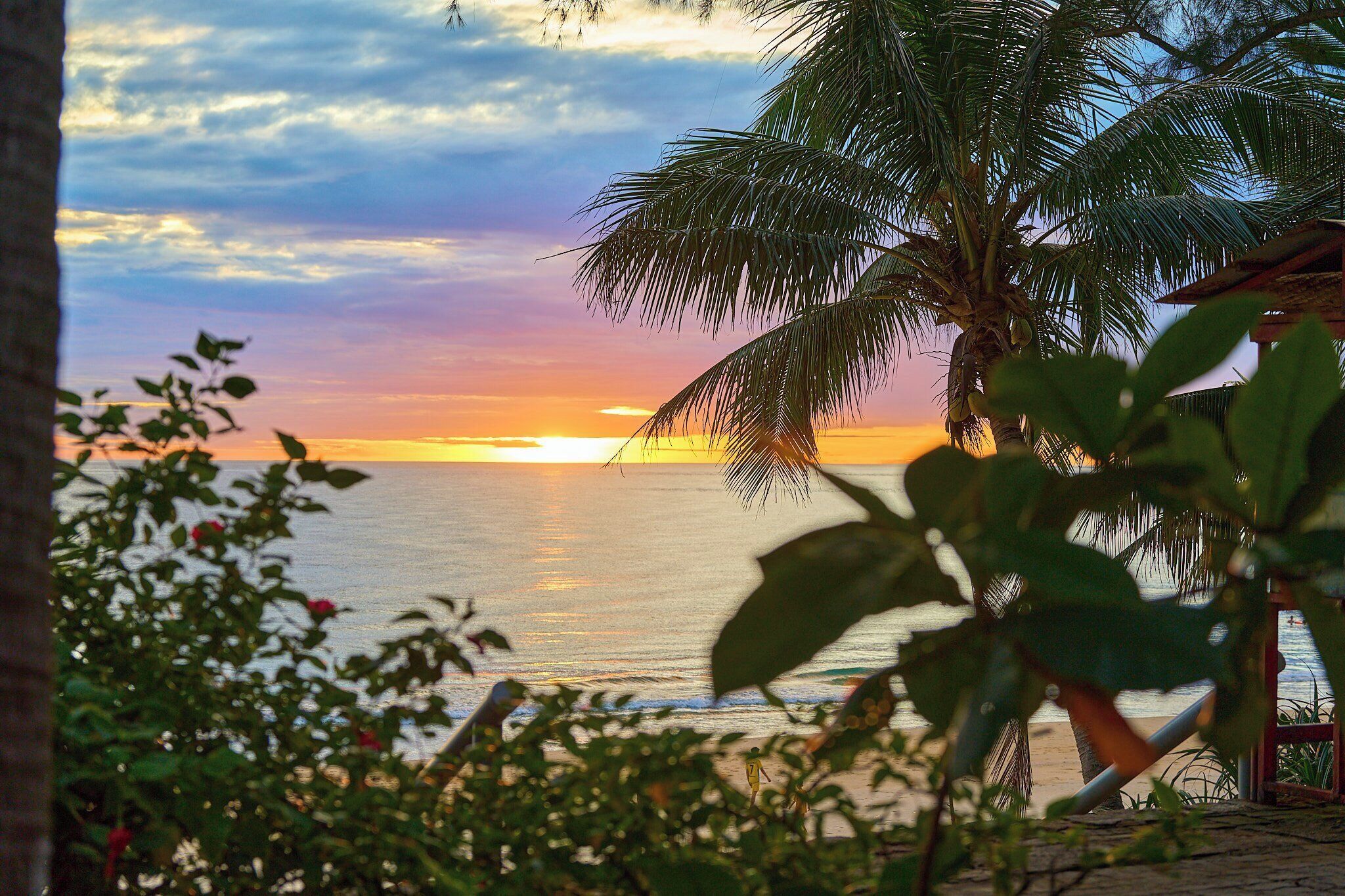 A sunset view with palm trees and a beach.