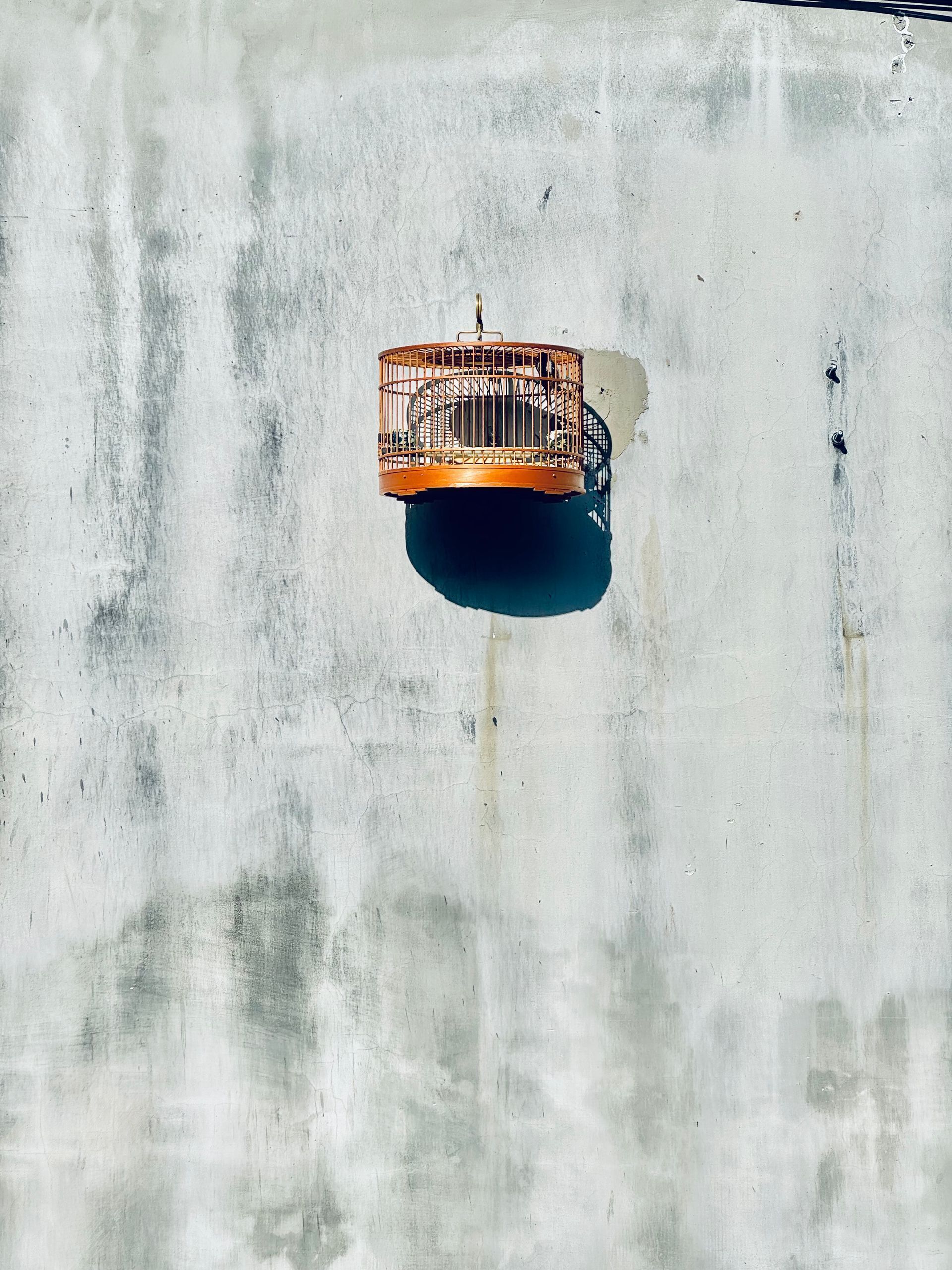 A birdcage mounted on a textured wall.