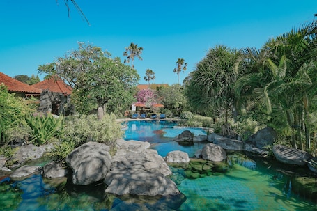 Outdoor pool, open 8:00 AM to 6:00 PM, pool umbrellas, sun loungers