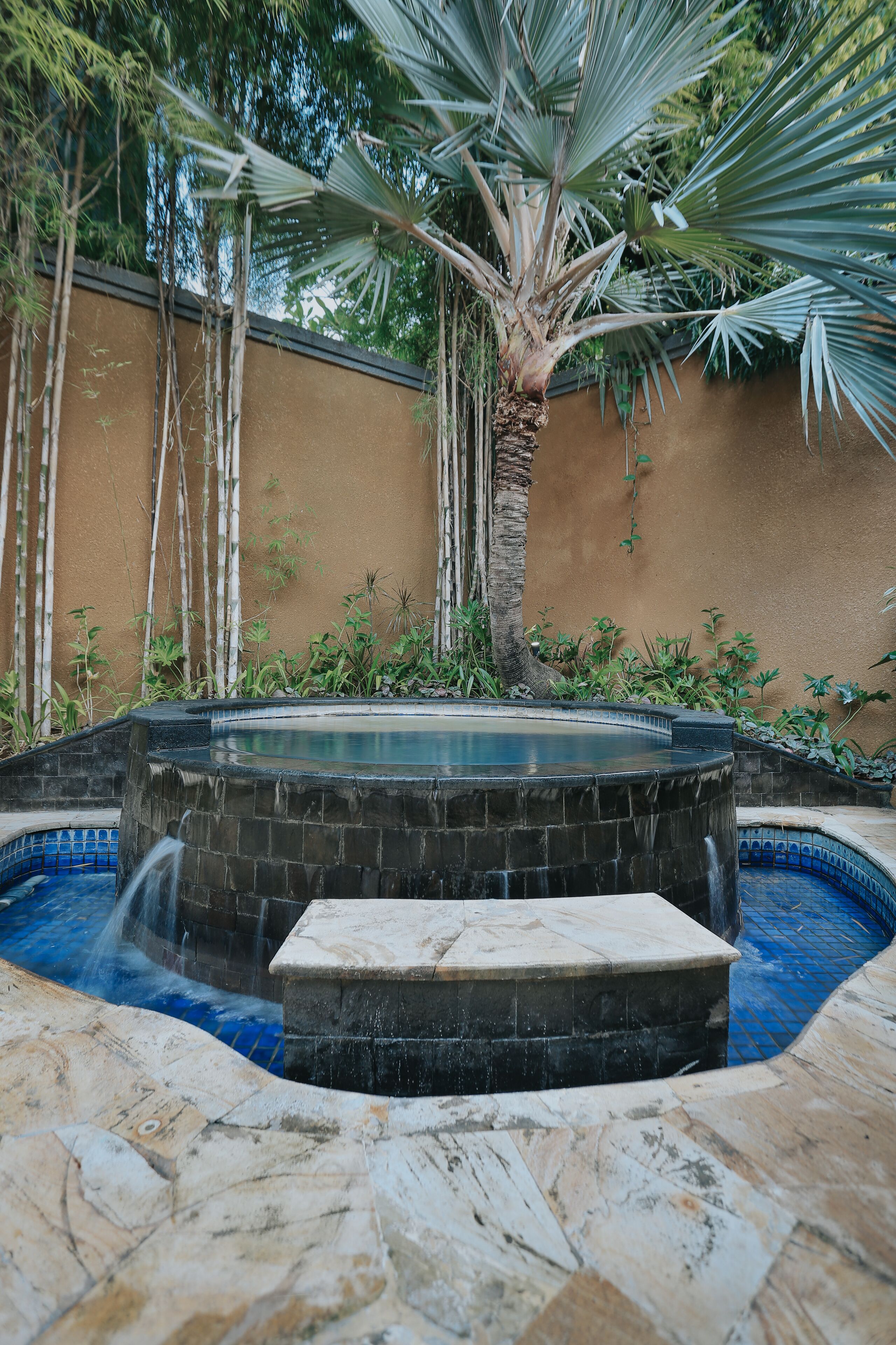 A hot tub surrounded by a stone pool, with a palm tree and bamboo plants in the background.