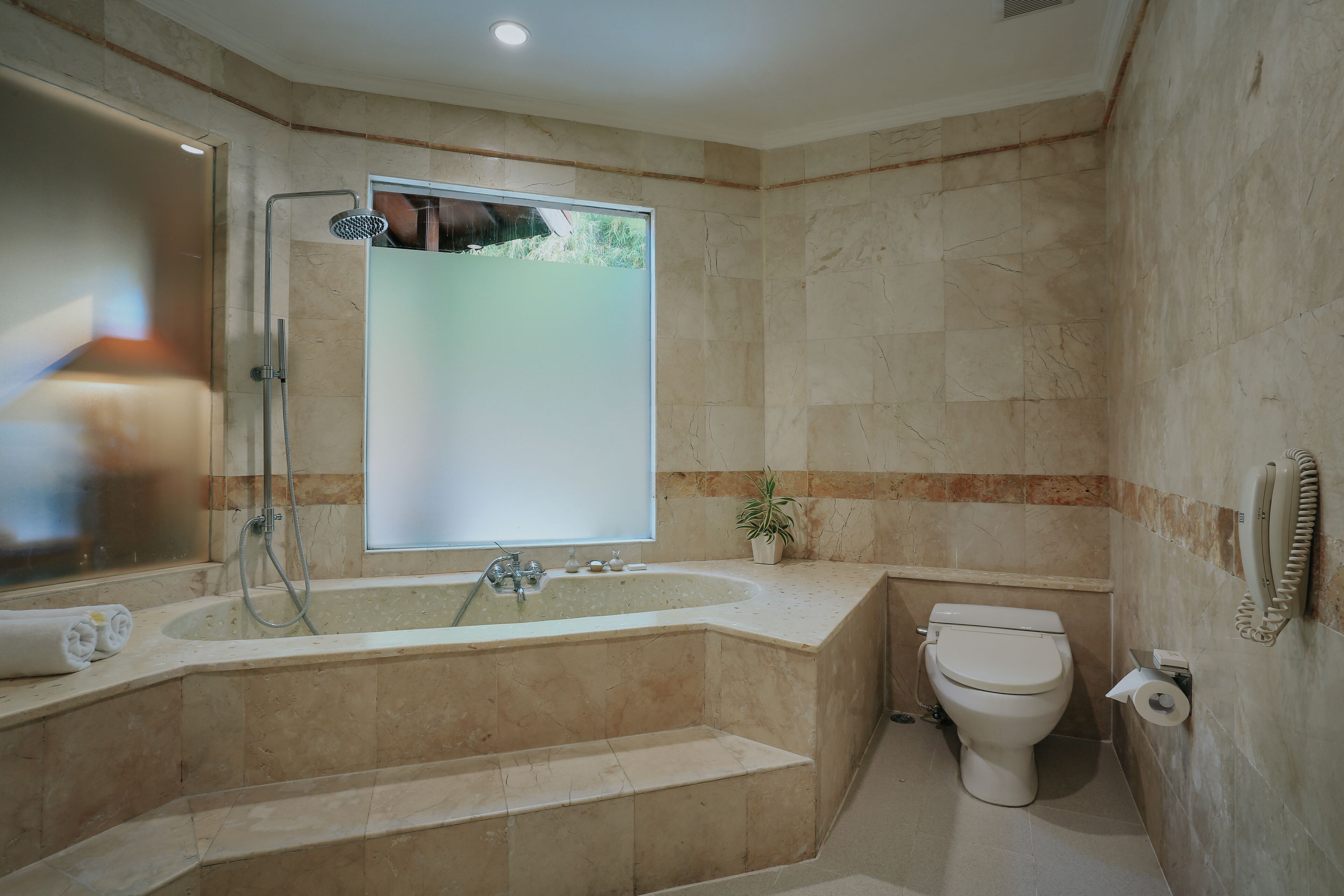 combined shower/bathtub, towels