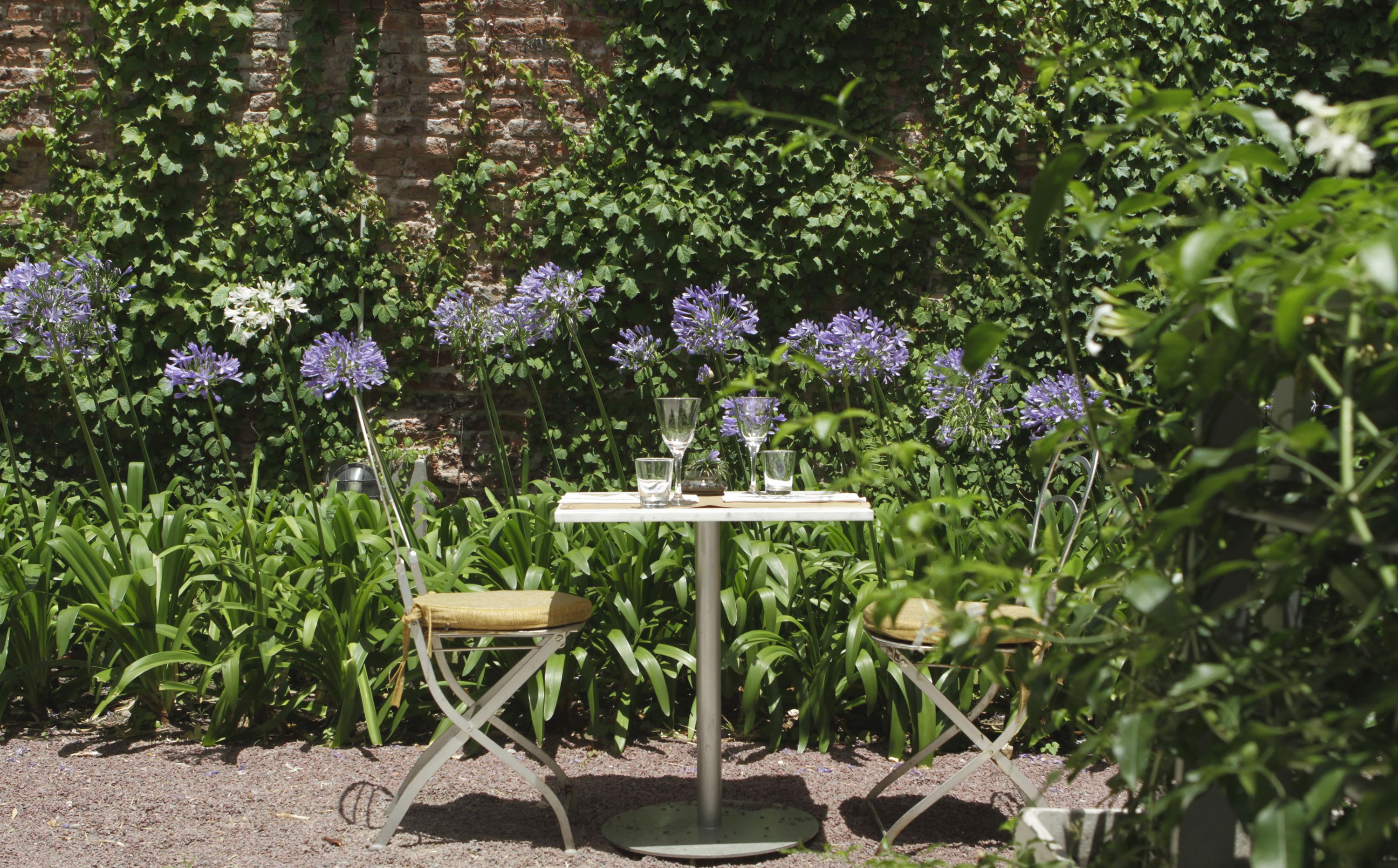 A garden table with chairs, surrounded by lush greenery and purple flowers.