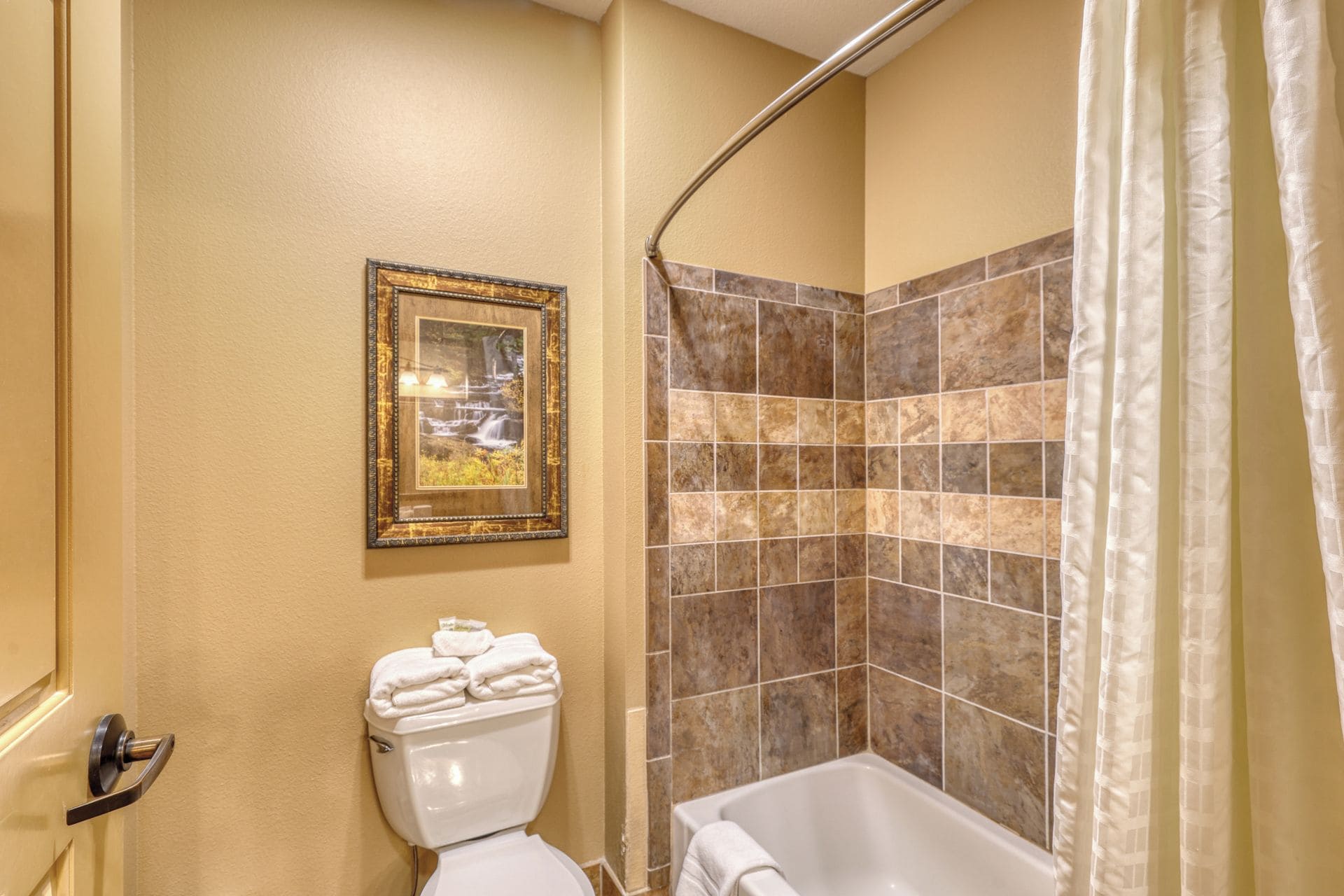 A bathroom with a toilet, a framed picture on the wall, and a shower area with a curtain.