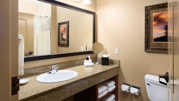 A bathroom with a granite countertop, a white sink, a large mirror, a framed picture on the wall, and a toilet.
