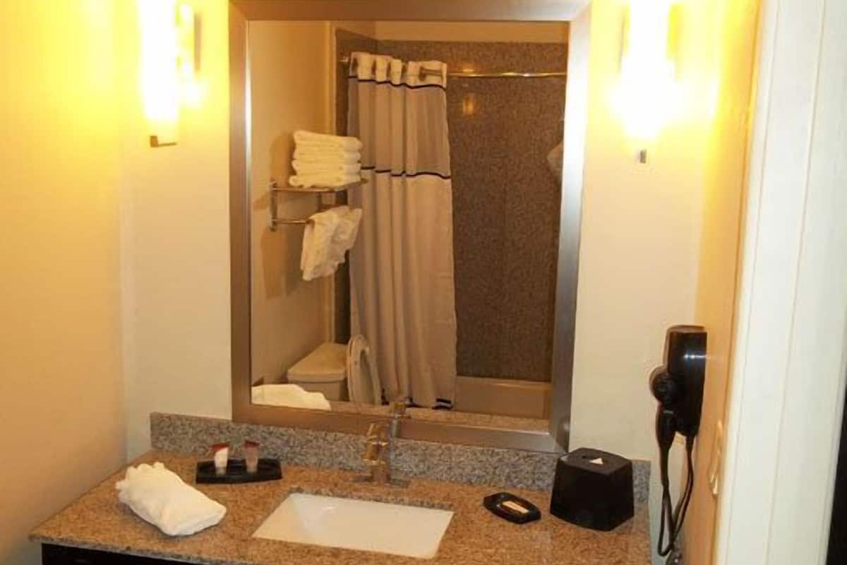 combined shower/bathtub, hair dryer, towels