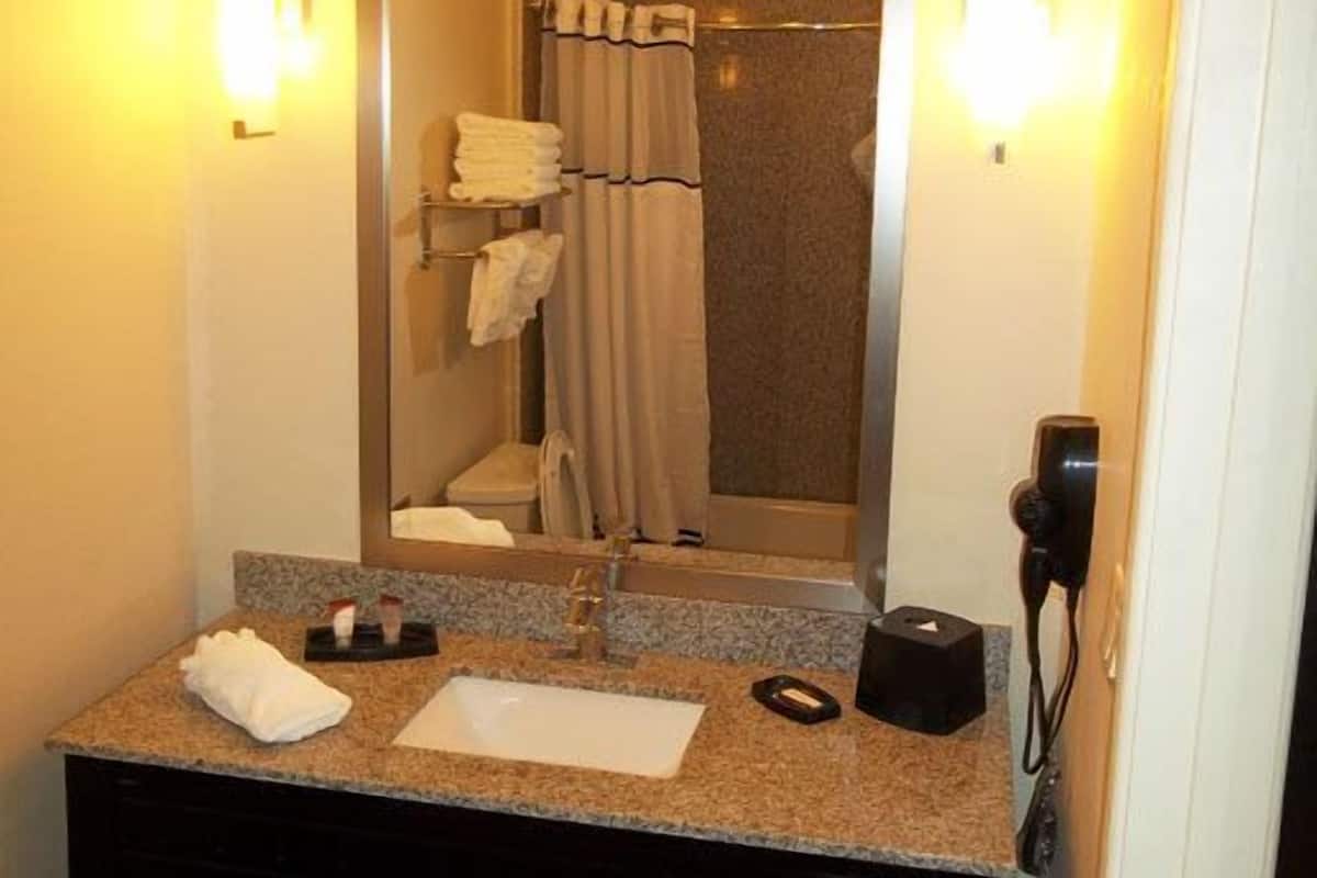 Combined shower/tub, hair dryer, towels