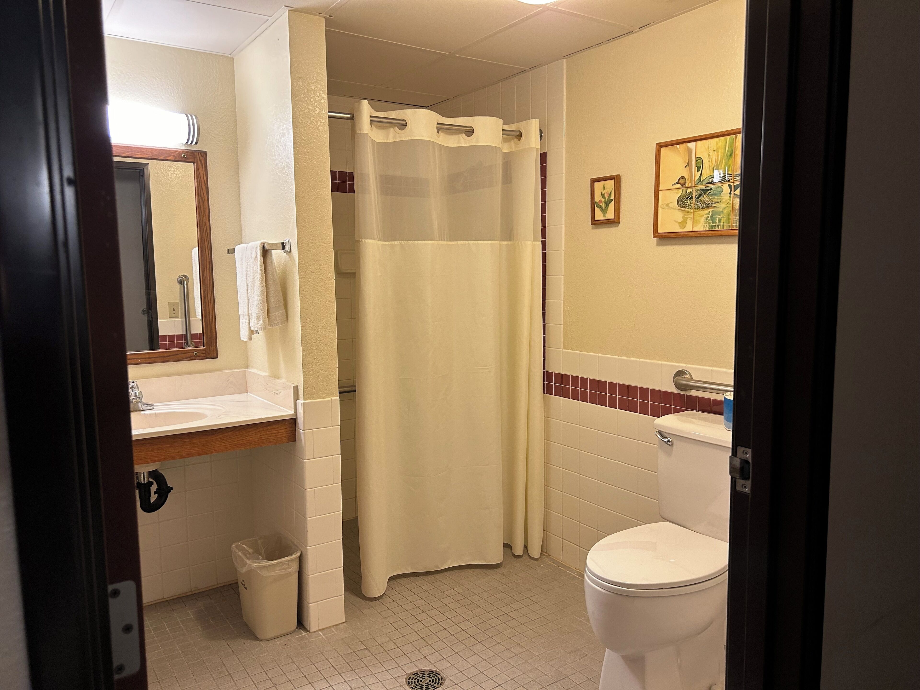 A bathroom with a shower curtain, a toilet, a sink, and a mirror.