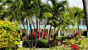 A poolside lounge area with wicker furniture and a small table, surrounded by lush greenery and palm trees, with a building in the background. - Island Club Turks (Providenciales)