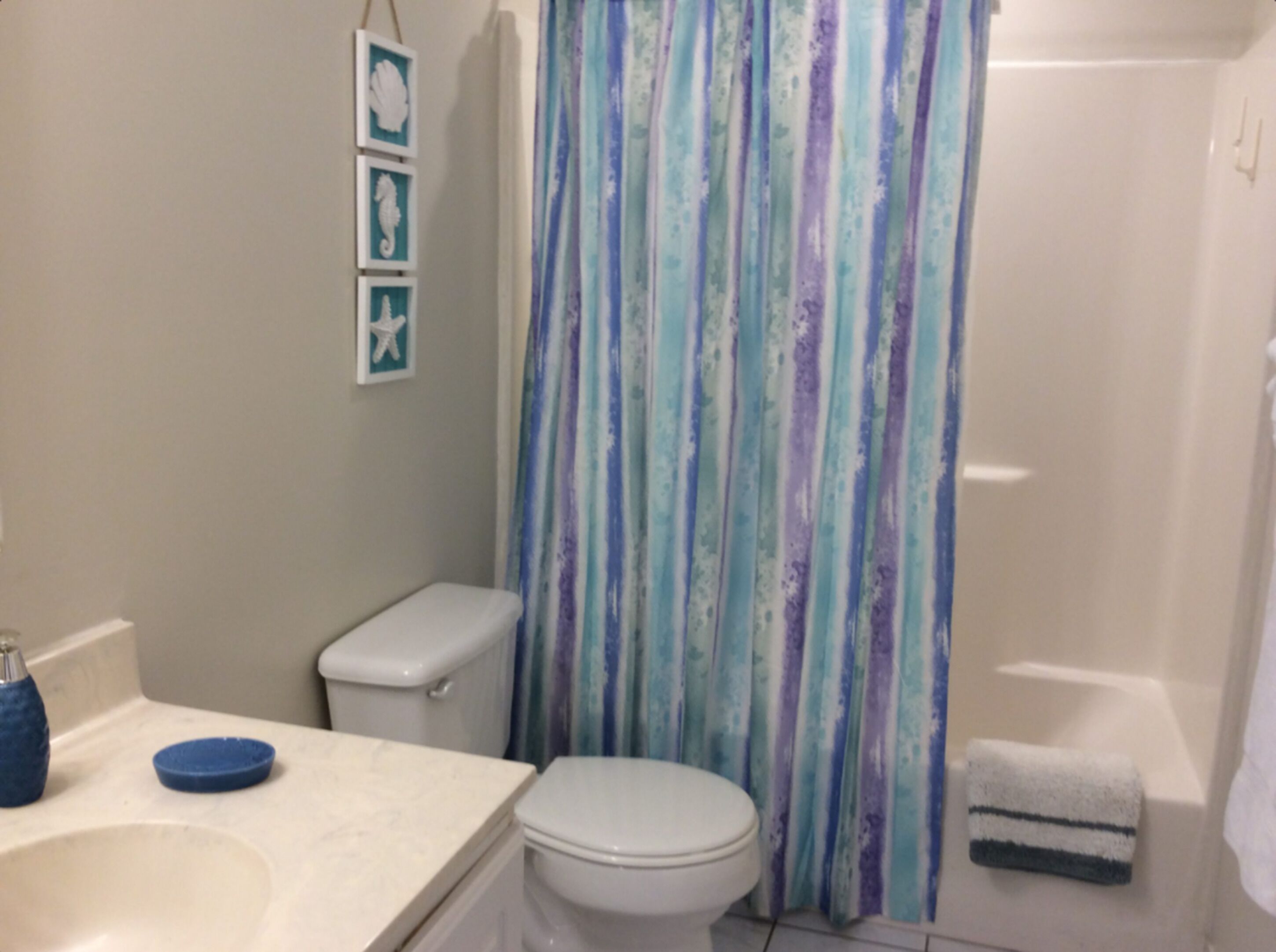 Ein Badezimmer mit Toilette, Waschbecken und Duschvorhang.