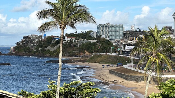 Un paisaje urbano costero con playa, palmeras y una combinación de edificios residenciales y rascacielos.
