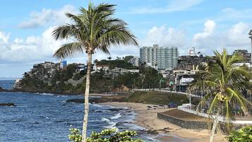 Enjoy the serene beach scene with gentle waves and a palm tree, surrounded by a bustling urban area with modern architecture.
